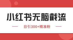 小红书截流同行客源，独家野路子获客玩法日引200+暴力获客【揭秘】-财仔梦想资源网