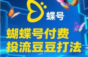 2025蝴蝶号付费投流豆豆打法，助新手快速掌握付费流量撬动自然流的核心玩法-财仔梦想资源网