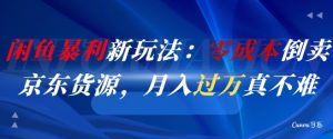 闲鱼暴利新玩法：零成本倒卖京东货源，月入过1W真不难-财仔梦想资源网