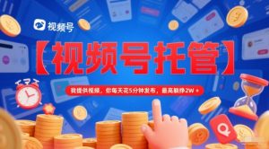 【视频号托管】我提供视频,你每天花5分钟发布,最高躺挣2W+【揭秘】-财仔梦想资源网