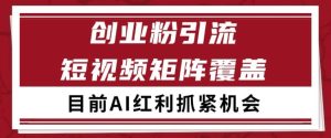 小红书某音创业赛道引流获客自热矩阵日引200+【揭秘】-财仔梦想资源网