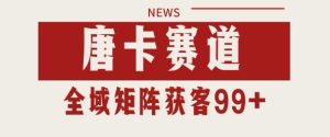 小红书某音唐卡赛道引流获客自热矩阵日引200+【揭秘】-财仔梦想资源网