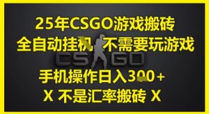 25年CSGO游戏搬砖，全自动运行，不需要玩游戏，手机操作日入3张(不是汇率搬砖)【揭秘】-财仔梦想资源网