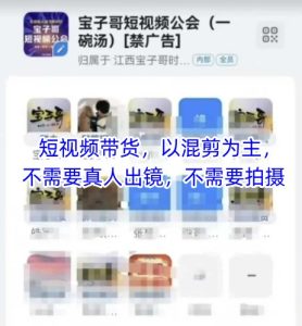 宝子哥头部团队短视频带货，以混剪为主，不需要真人出镜，不需要拍摄【更新】-财仔梦想资源网