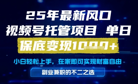 25年最新风口，视频号托管项目，单日保底变现1k+，手把手教学【揭秘】-财仔梦想资源网