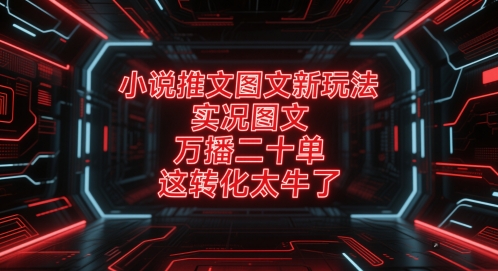 小说推文图文新玩法，实况图文，万播二十单，这转化太牛了！-财仔梦想资源网
