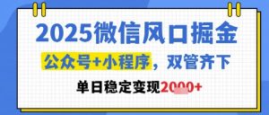2025微信风口掘金，公众号+小程序双管齐下，单日稳定变现1k+【揭秘】-财仔梦想资源网