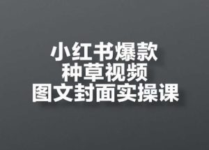 小红书爆款种草视频图文封面实操课,开店、选品、引流、变现全流程-财仔梦想资源网