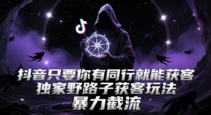 抖音只要你有同行就能获客，独家野路子获客玩法，暴力截流【揭秘】-财仔梦想资源网