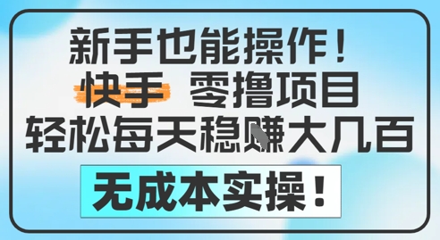 新手也能操作，快手零撸挣米，轻松每天挣2-5张，完全无成本-财仔梦想资源网