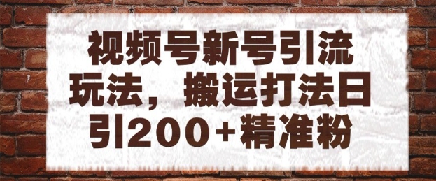 视频号新号引流玩法，搬运打法日引200+精准粉，可矩阵放大【揭秘】-财仔梦想资源网