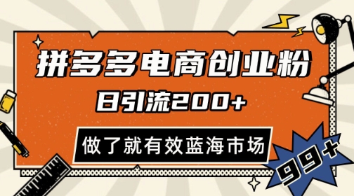 拼多多引流电商创业粉，日引200+，可矩阵放大，做了就有效【揭秘】-财仔梦想资源网