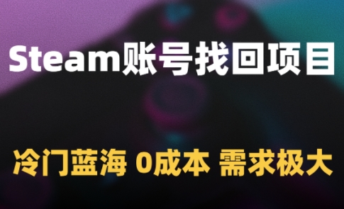 Steam账号找回项目，冷门蓝海，0成本，需求极大-财仔梦想资源网