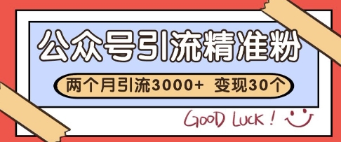公众号精准粉引流玩法，2个月3000+精准粉，变现30个W【揭秘】-财仔梦想资源网