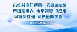 小红书冷门项目一天收益9张，市场需求大，0成本，可复制性强可以矩阵操作-财仔梦想资源网