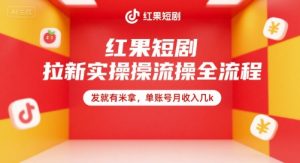 红果短剧拉新实操全流程，发就有米拿，单账号月收入几k-财仔梦想资源网