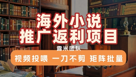 海外小说推广返利项目，视频投喂，一刀不剪，矩阵批量-财仔梦想资源网