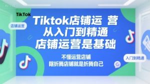 Tiktok店铺运营从入门到精通,店铺运营是基础,不懂运营店铺,瞎折腾店铺就是折腾自己-财仔梦想资源网
