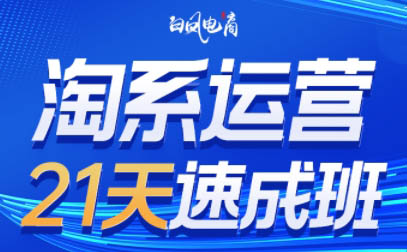 白凤电商·淘系运营21天速成班(更新7月)-财仔梦想资源网