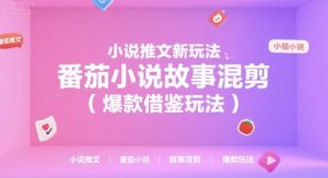 小说推文新玩法，番茄小说故事混剪(爆款借鉴玩法)-财仔梦想资源网