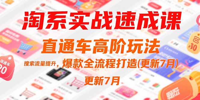 淘系实战速成课，直通车高阶玩法，搜索流量提升，爆款全流程打造(更新7月-财仔梦想资源网