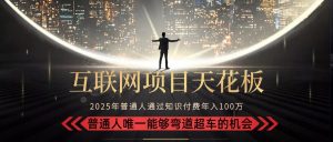 2025“互联网项目天花板”:不做韭菜,做镰刀!“月入10W+普通人弯道…-财仔梦想资源网