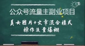 公众号流量主副业项目，美女图片+文章混合模式操作流量爆棚-财仔梦想资源网