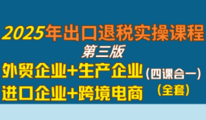 崔sir·出口退税实操-外贸企业+生产企业+跨境电商+进口企业(四课合一)-财仔梦想资源网
