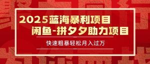 2025最新闲鱼蓝海暴利项目快速粗暴单号日入1000+，保姆级教程-财仔梦想资源网