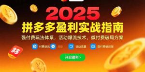 拼多多盈利实战指南，强付费玩法，活动爆流技术，微付费破局方案(更新7月-财仔梦想资源网