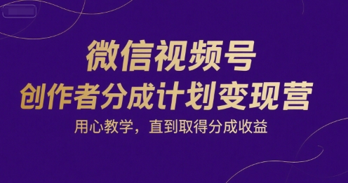 微信视频号创作者分成计划变现营，用心教学，直到取得分成收益-财仔梦想资源网