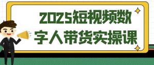 2025短视频数字人带货实操课-财仔梦想资源网