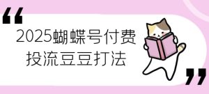 2025蝴蝶号付费投流豆豆打法-财仔梦想资源网