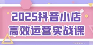 2025抖音小店高效运营实战课-财仔梦想资源网