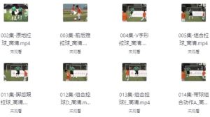 校园足球教学视频教程-财仔梦想资源网