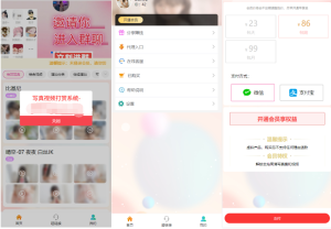 2025最新写真图片视频打赏系统源码完整可用附教程-财仔梦想资源网