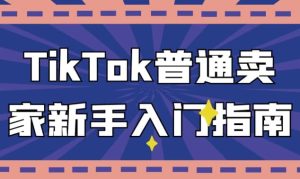 TikTok普通卖家新手入门指南-财仔梦想资源网