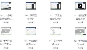 刁吉祥八字初中高级课程-财仔梦想资源网
