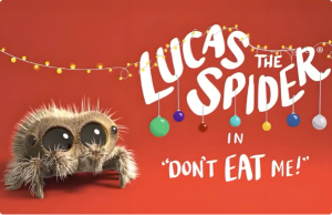 幼儿英语启蒙动画《小蜘蛛卢卡斯LucastheSpider(中英字幕)》-财仔梦想资源网