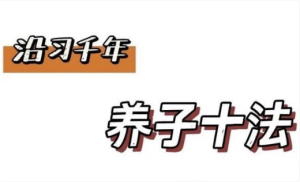 中医古法婴幼养生课-财仔梦想资源网