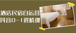 酒店民宿自运营抖音0-1进阶课-财仔梦想资源网