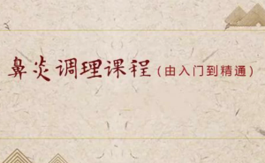 小儿推拿之鼻炎调理课程（入门到精通）-财仔梦想资源网