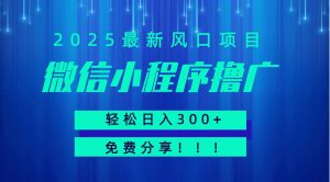 微信小程序撸广，最新风口项目，日入300+免费分享可批量操作小白可轻松上手！！-财仔梦想资源网
