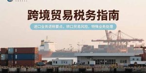 跨境贸易税务指南，进口业务退税要点，转口贸易风险，特殊业务处理-财仔梦想资源网