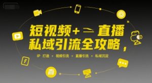 短视频+直播私域引流全攻略，IP打造+视频引流+直播引流+私域沉淀-财仔梦想资源网