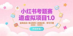 小红书考题赛道虚拟项目1.0，蓝海选品+笔记矩阵+店铺运营，单号月赚5000+-财仔梦想资源网