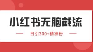 小红书截流同行客源，独家野路子获客玩法日引200+暴力获客-财仔梦想资源网