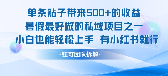 单条贴子带来5张的收益，暑假最好做的私域项目之一，小白也能轻松上手，有小红书就行-财仔梦想资源网