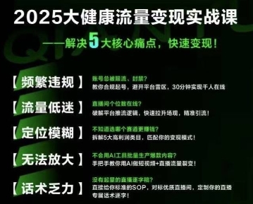 大健康流量全域新增长8.0，三月底线下课视频，大健康万亿蓝海，从类目突围到模式迭代-财仔梦想资源网