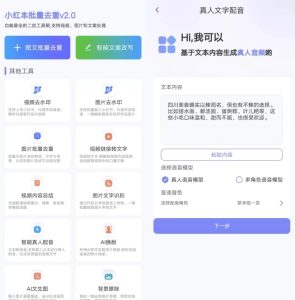 小红本批量改写v2.1.2-财仔梦想资源网